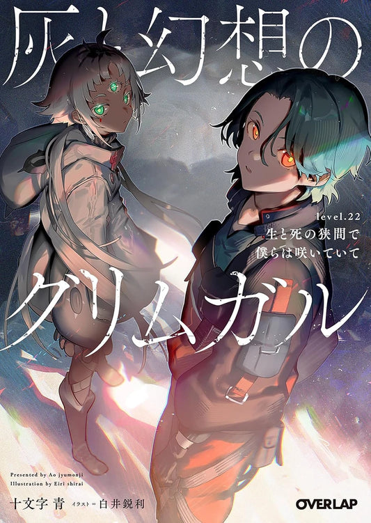 Grimgar Of Fantasy And Ash (Light Novel) Vol. 22 [TP] Cover