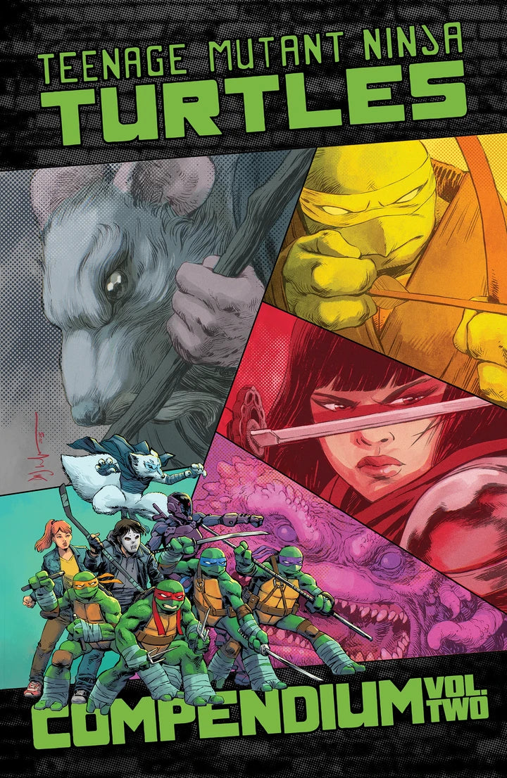 Teenage Mutant Ninja Turtles: Ongoing Compendium, Vol. 2 [TP] Cover