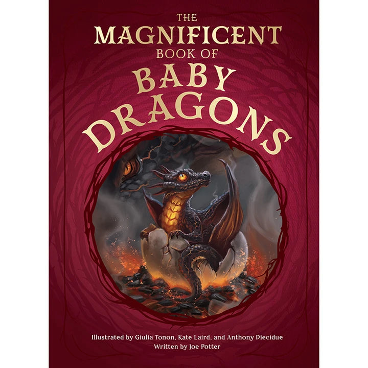 Magnificent Book Of Baby Dragons [HC] Cover