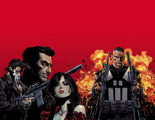 Marvel Knights: Punisher [TP] Cover