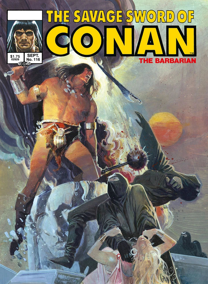 Savage Sword Of Conan Original Comics Omnibus Vol 08 Direct Market Edition Bill Sienkiewicz Cvr (Mr) [HC] Cover