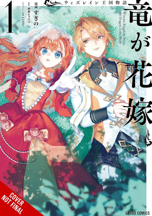Tale Of The Wizrain Kingdom The Dragon Is The Bride Vol 01 [TP] Cover